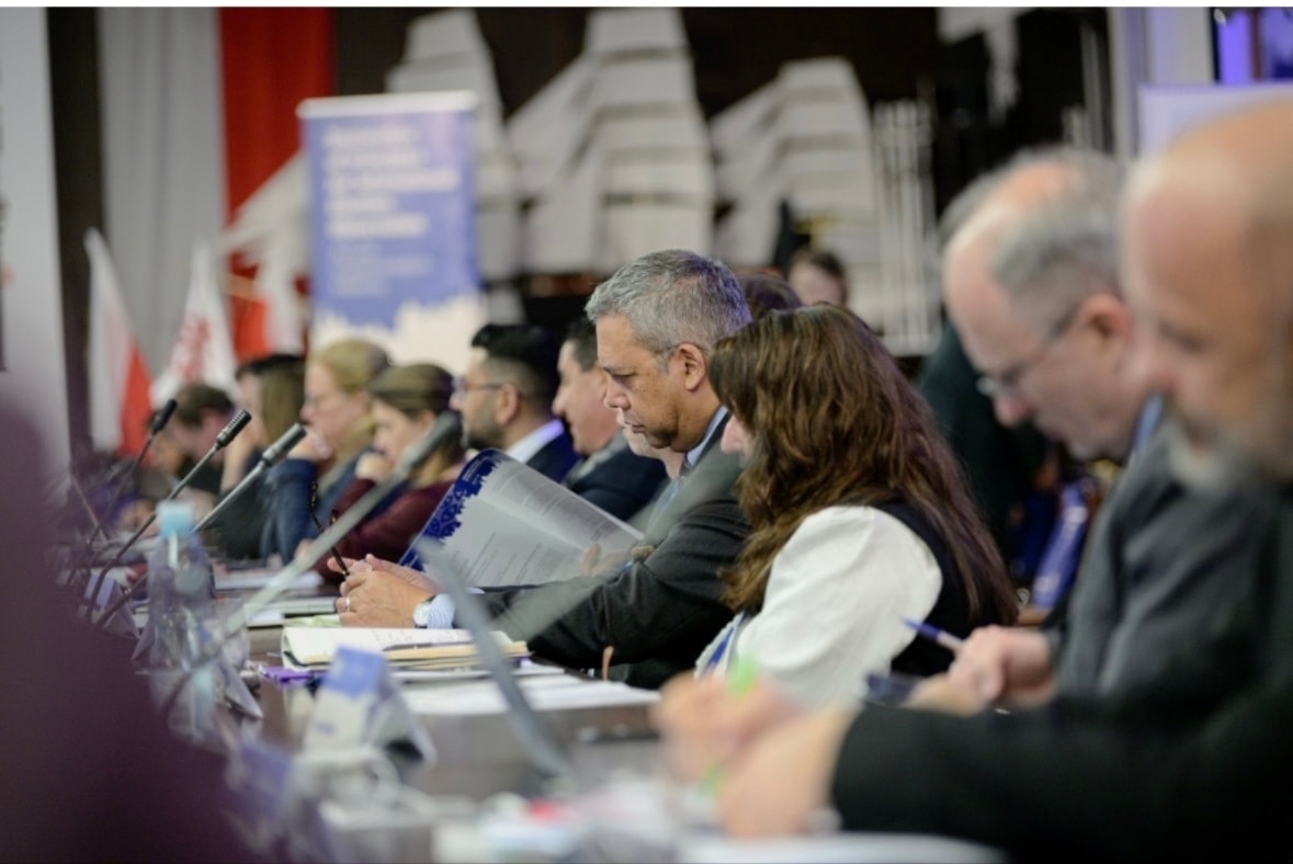 Electoral officials in institutional deliberation